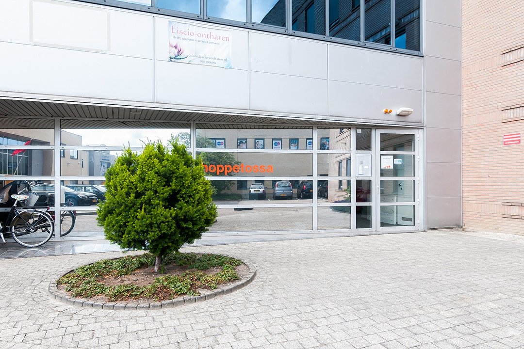 Liscio Ontharen, Oog in al, Utrecht