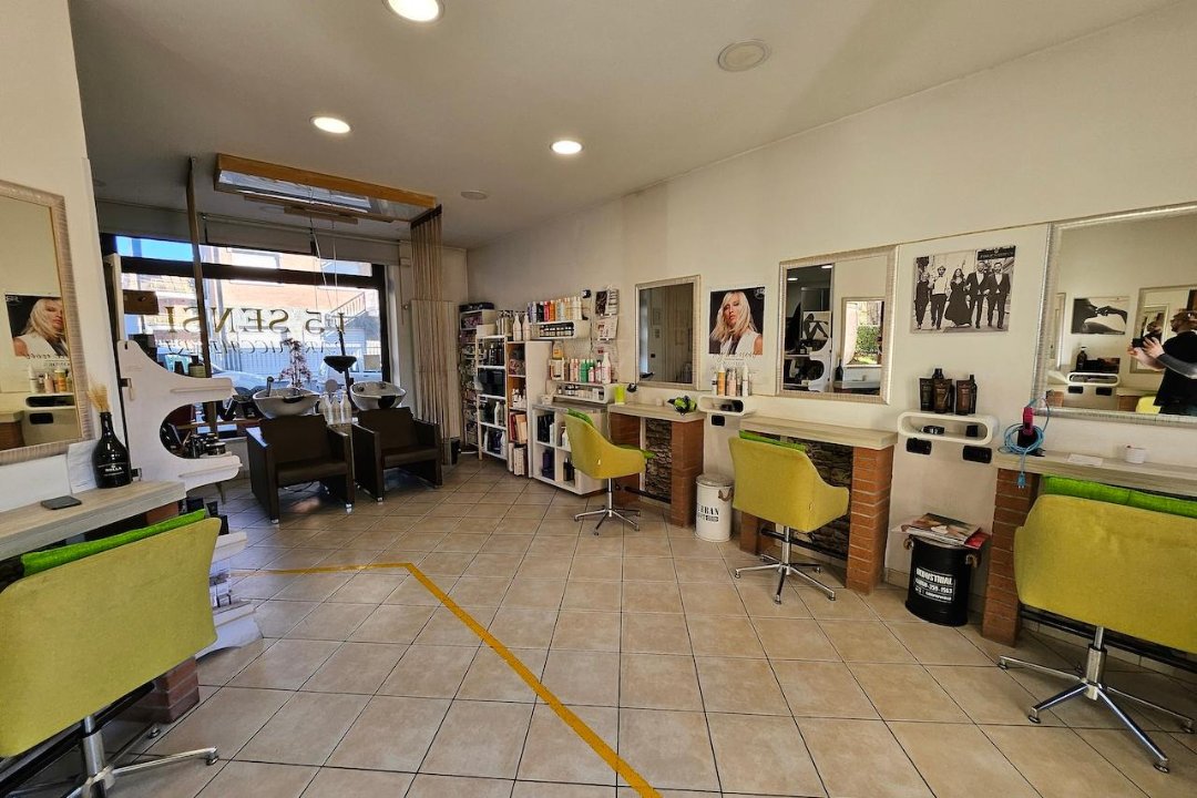 I 5 Sensi Parrucchieri, Collegno