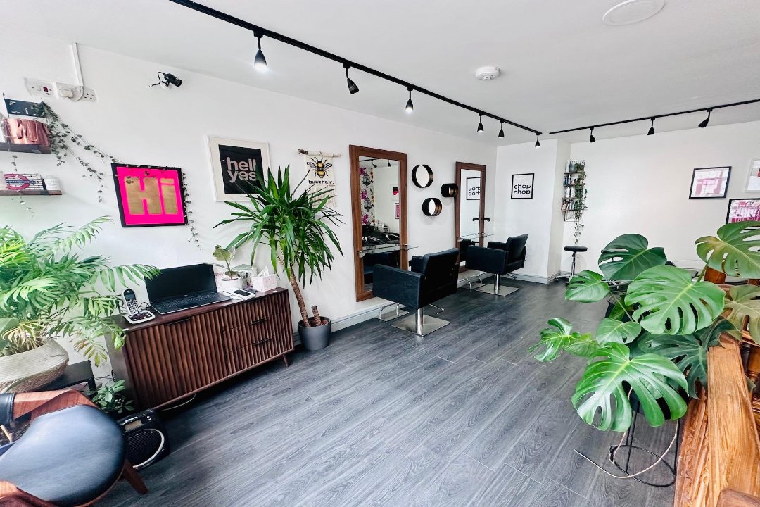 Buzz Hair Therapy, Newington Green, London