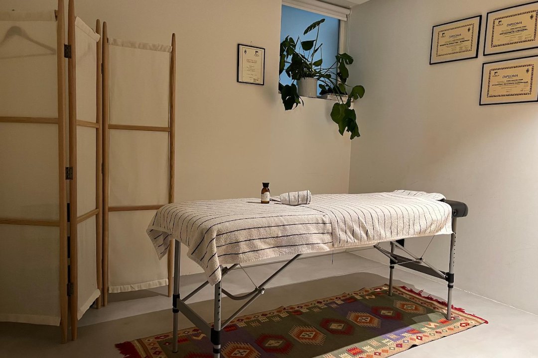 Osteopatía, Masajes y Entrenamiento Fabio Santos BCN, Sant Martí, Barcelona