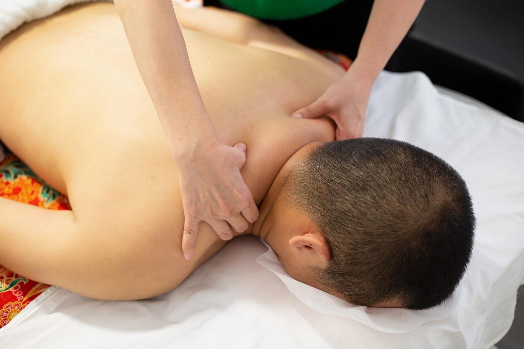 B&HARMONY, Nova Milanese, Lombardia