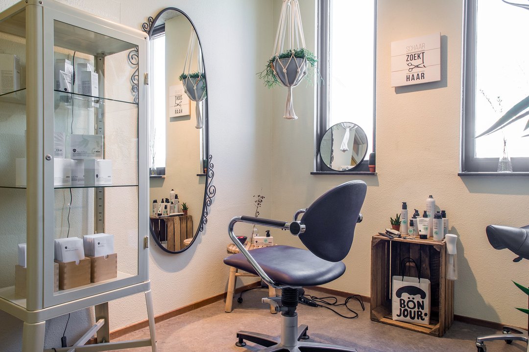 Schaar zoekt Haar, Haarlem-Oost, Haarlem