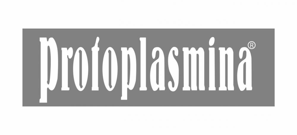 Protoplasmina