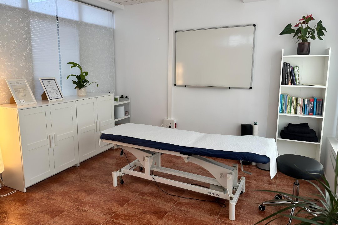 Gabriela Andrei Therapy, Valencia