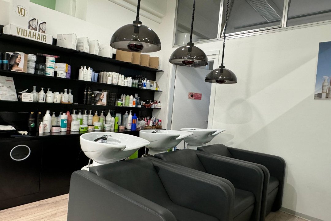 Salon L’Arte, Udine Città, Friuli-Venezia Giulia