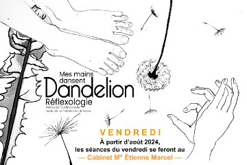 Dandelion Réflexologie