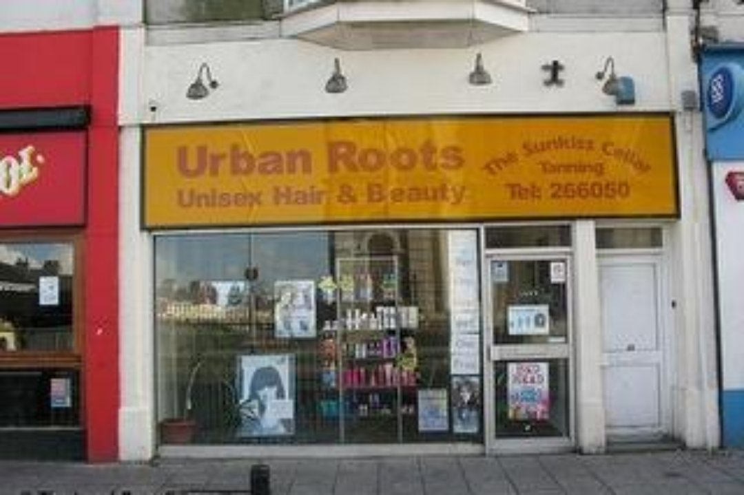 Urban Roots, Plymouth