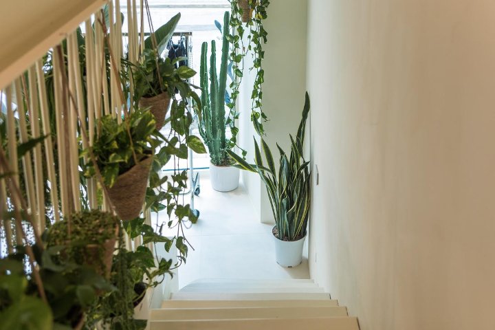 Giulia Campolo Luxury Treatments - Épilation Verona - Photo de galerie - OneBooking