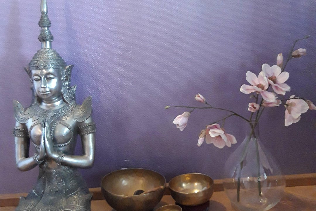Tao Dao Acupunctuur, Bloemendaal, Noord-Holland