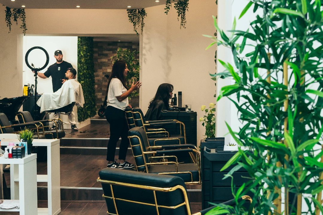 Studio Zoffoli - By Tamara Sacramento, Four Courts, Dublin