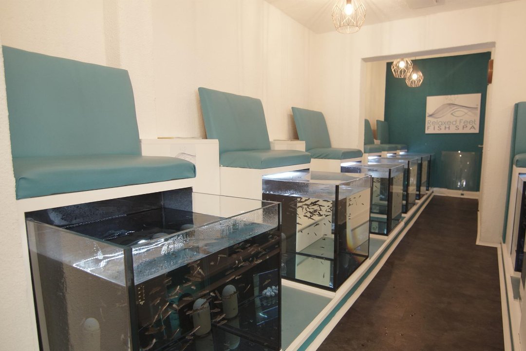 Relaxed Feet Fish Spa, Altstadt-Süd, Köln