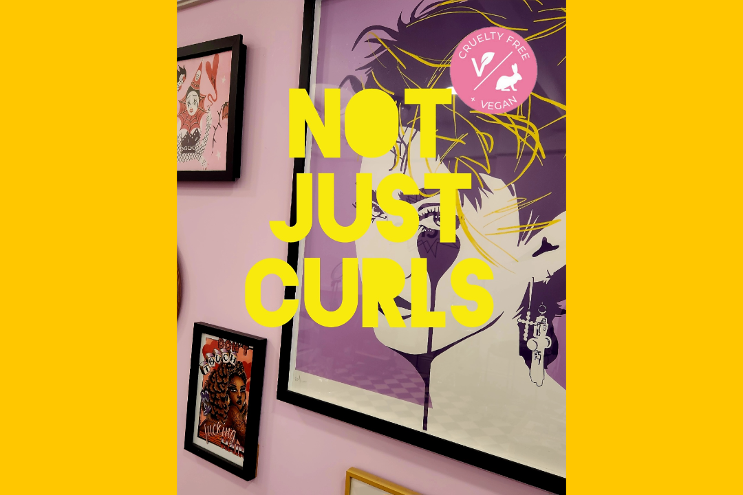 Not Just Curls, Brighton City Centre, Brighton and Hove