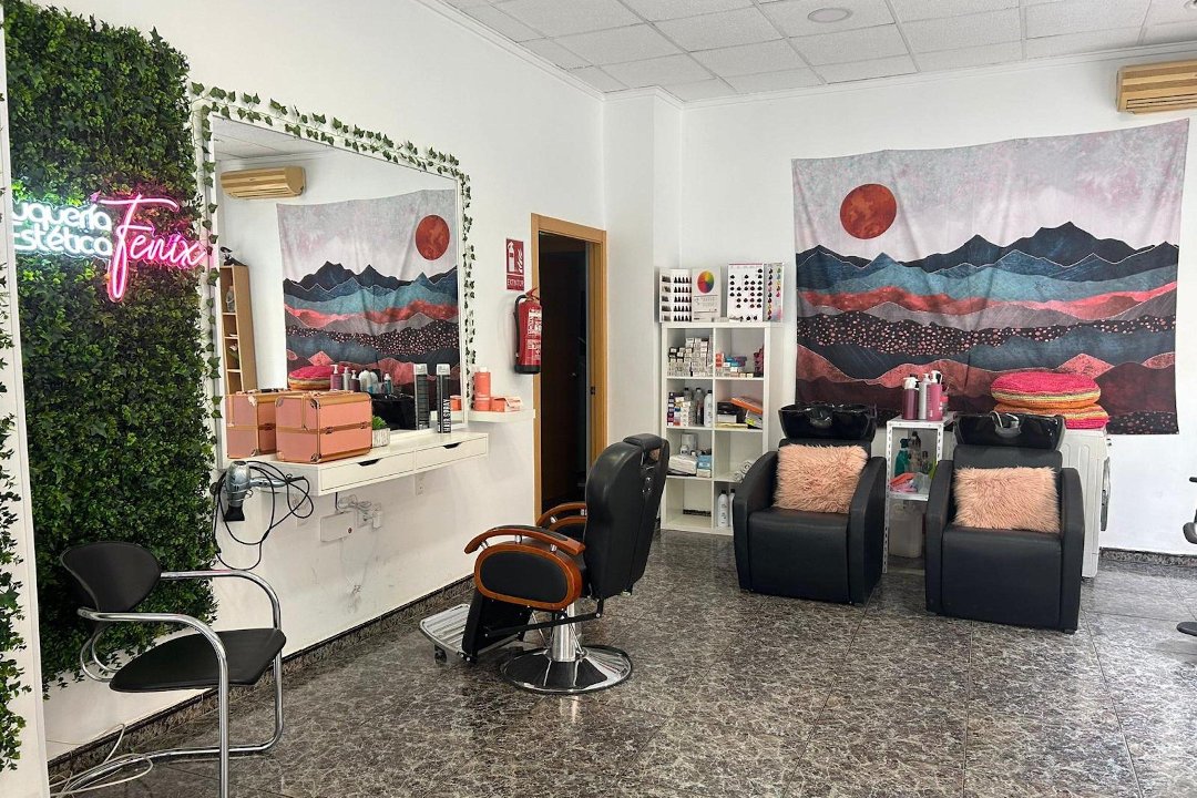 Peluquería y estética Fénix, Benicalap, Valencia
