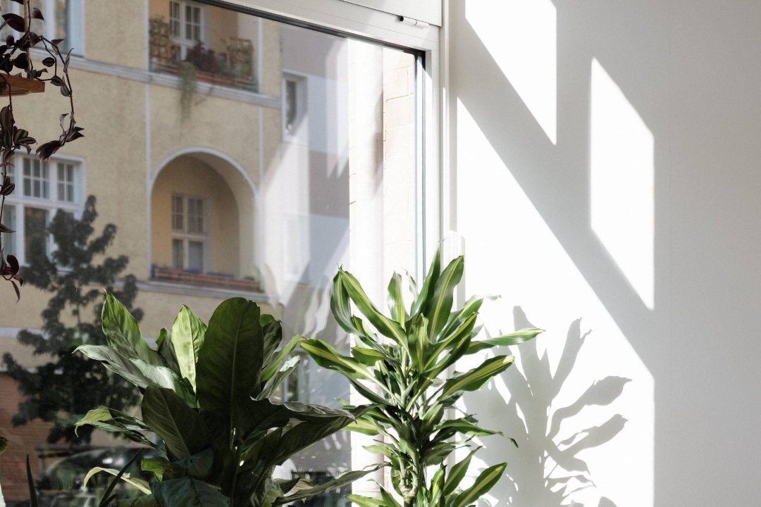 KÖRPERKLÄNGE Osteopathische Massage & Körpertherapie · Raum für Körperbewusstsein, Pankow, Berlin