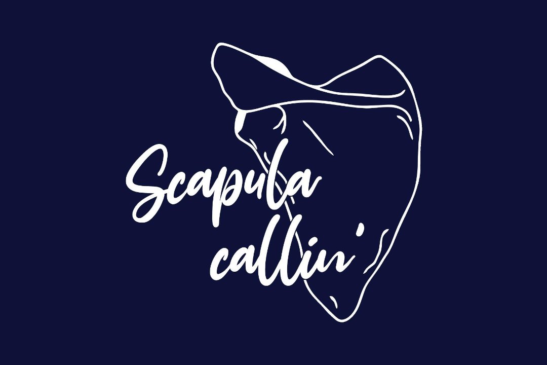 Scapula callin', Žirmunai, Vilnius