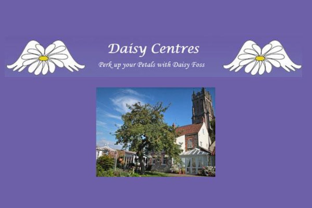 Daisy Centres, Glastonbury, Somerset