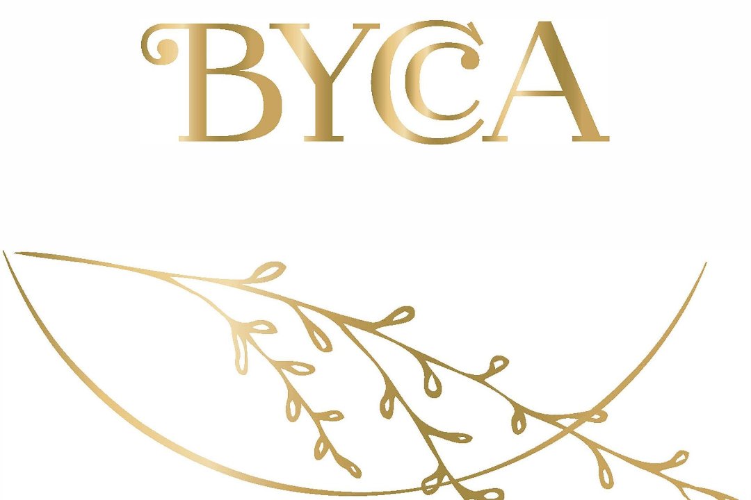 Bycca, Hispanoamerica, Madrid