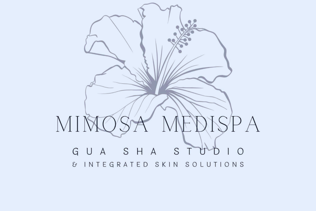 Mimosa Medispa, Oporto