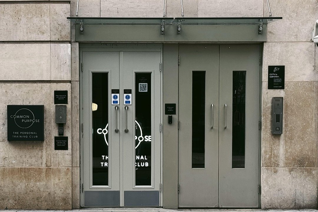 MOTUS Chiropractic, Green Park, London