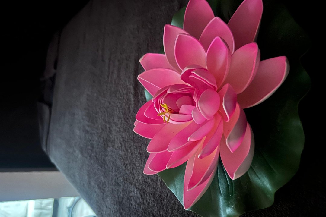 Metamorfosa Massage, Tweede Daalsebuurt, Utrecht
