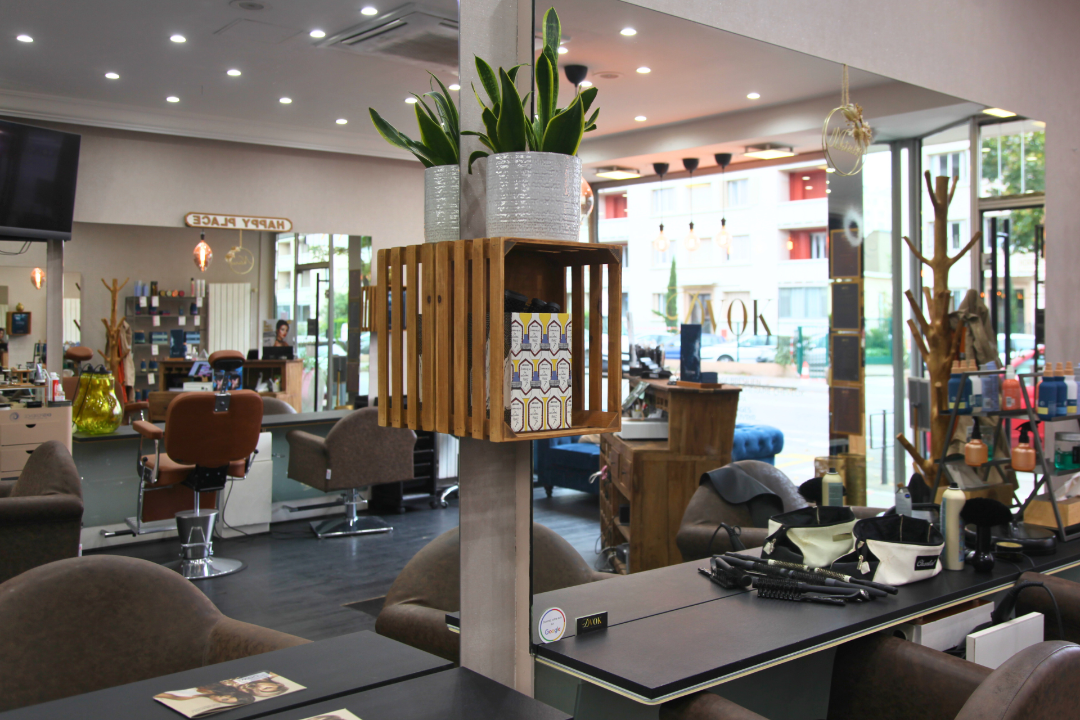 Salon DVOK, Villeurbanne, Métropole de Lyon