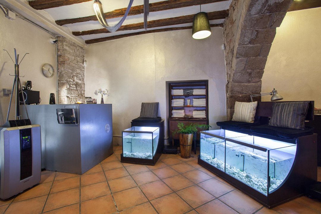 Rufoo Fish Spa, El Barri Gòtic, Barcelona