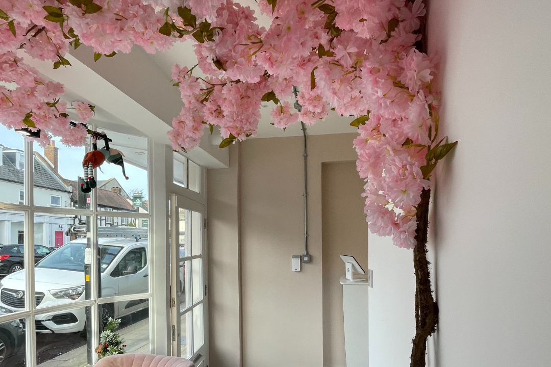 Orchid Wellness Clinic, Monken Hadley, London