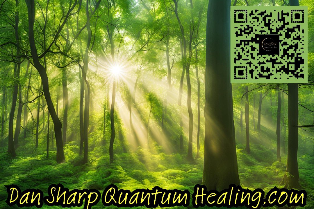 Dan Sharp Quantum Healing, North Walsham, Norfolk