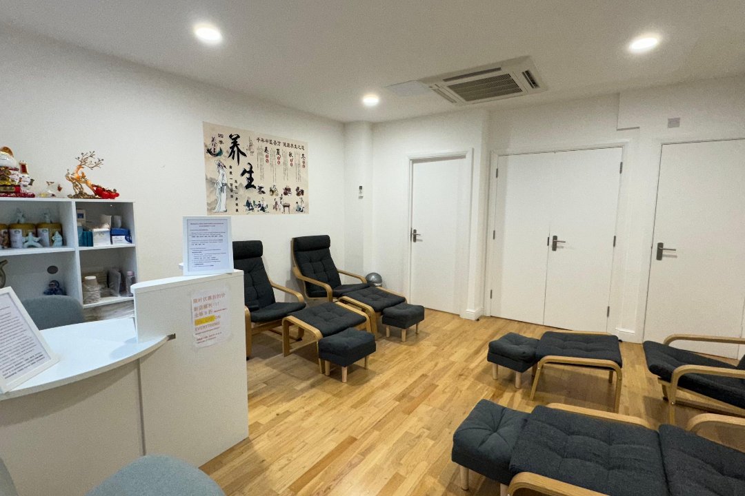 Tuina Massage Spa - Meditation TaiChi TCM Health Center禅太极中医健康理疗中心, Wellcome Collection, London