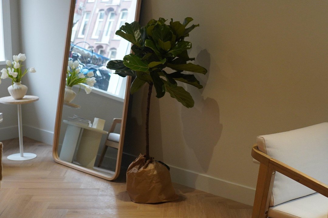 Alla Bo Nails, Foodhallen, Amsterdam