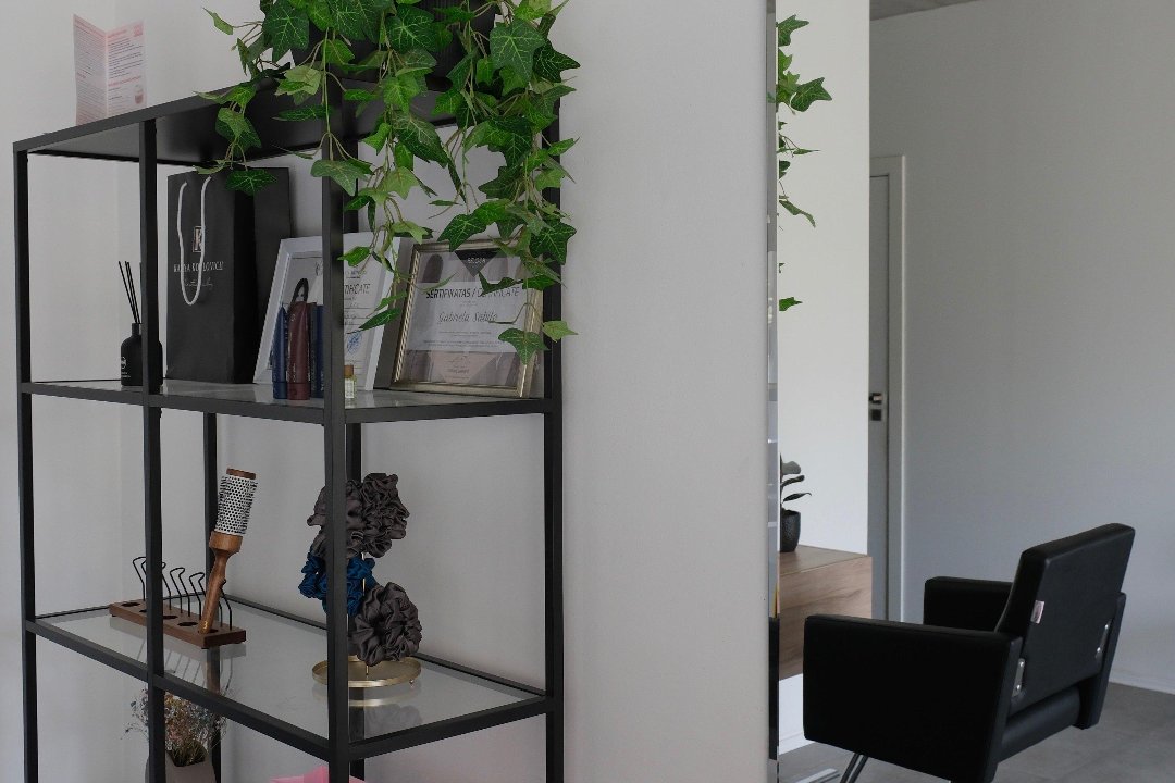 Monika.baro plaukų procedūros, Siemens arena, Vilnius