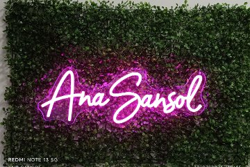 Ana Sansol