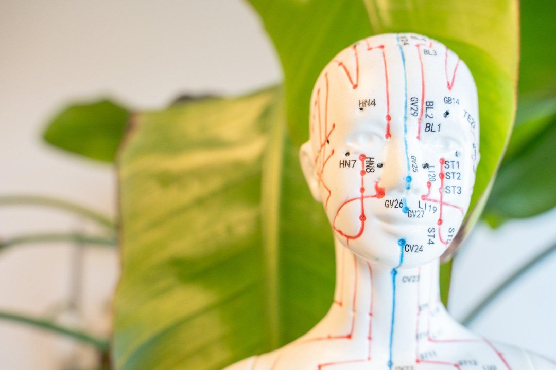 Your Amsterdam Acupuncturist, Amsterdam-West, Amsterdam
