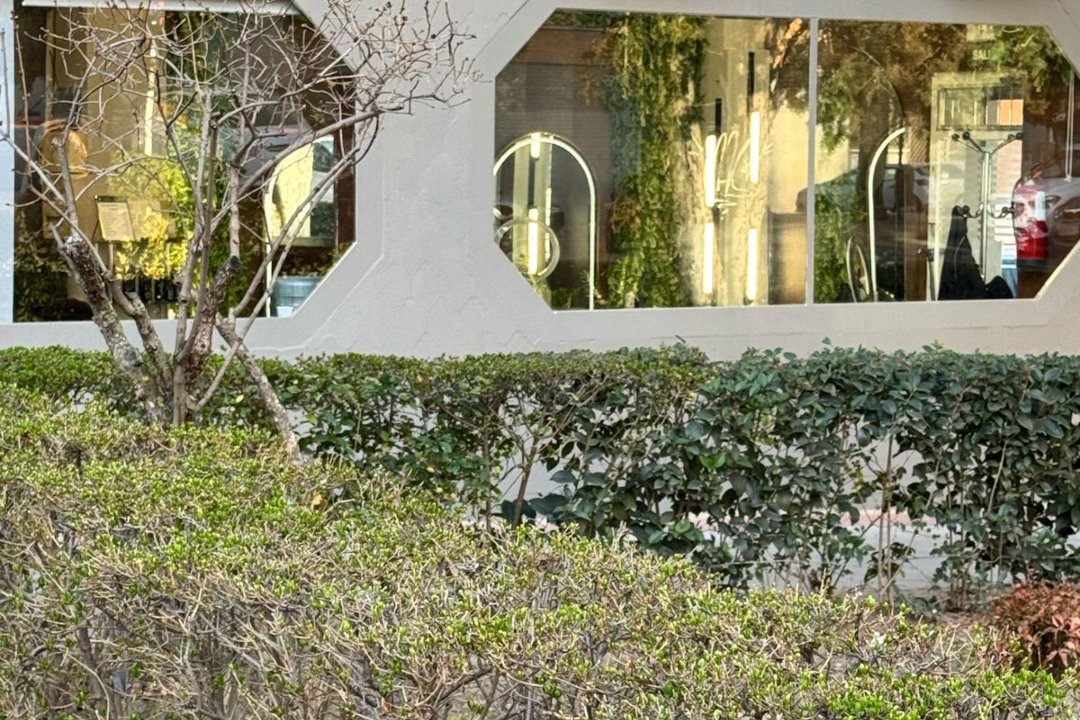 Essenttial Concept, La Almudena, Madrid