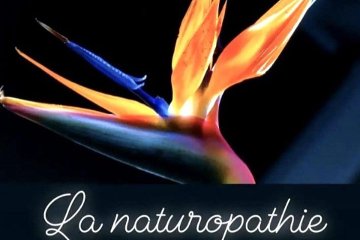 Sakine Kara - Naturopathe & Réflexologue plantaire