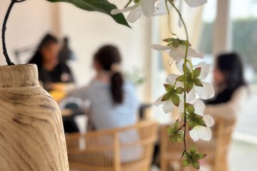 Aura Beauty Studio Roma Eur
