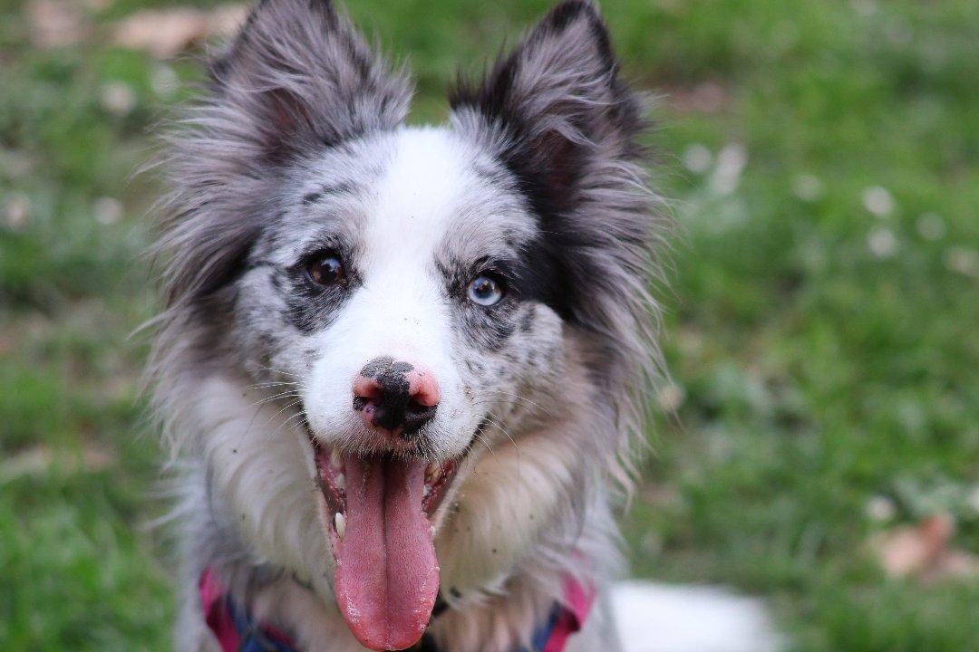 Go Live IE, Abbey Street, Dublin