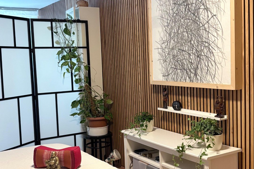 Massage Praxis Corpo Donaufeld 06603488012, 21. Bezirk, Wien
