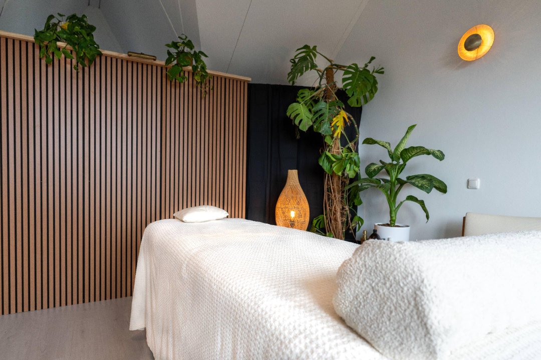 Holistics, Elzenhagen, Amsterdam