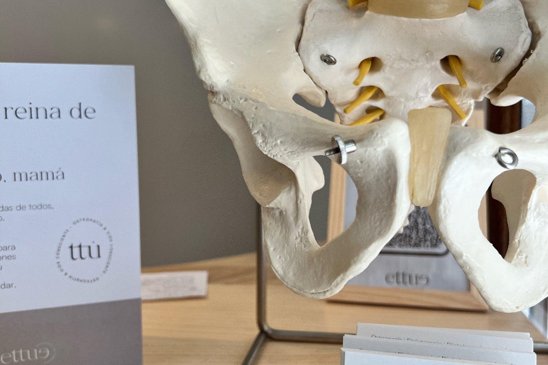 Ettue Osteopatía y Vida Consciente BADALONA, Badalona