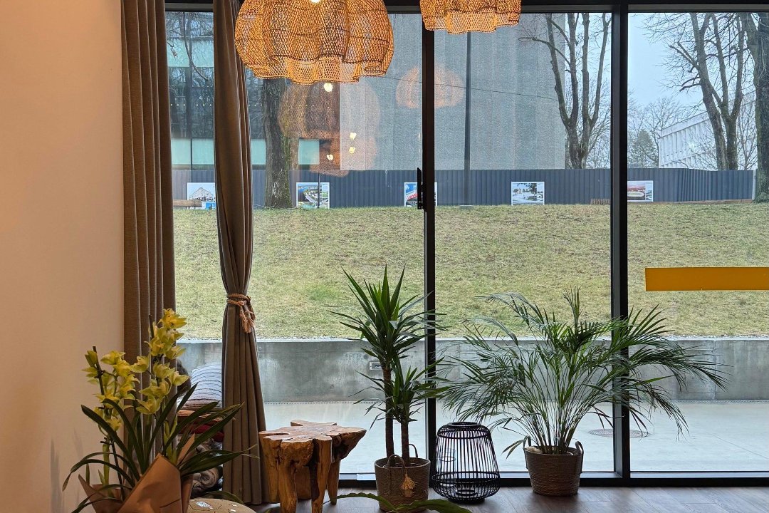 Dia group Spa&Wellness, Žaliakalnis, Kaunas
