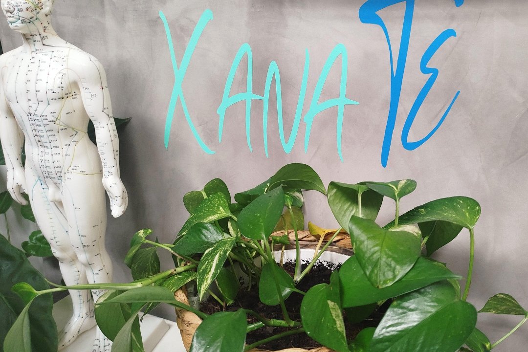 Xanate, Colonia Jardín, Madrid