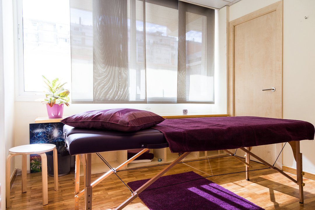 Institut Salut Holistica Rosselló, La Nova Esquerra de l'Eixample, Barcelona