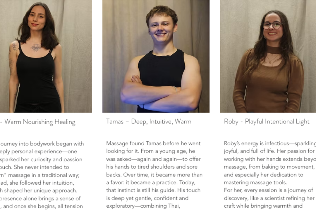 V Massage Holistic Muscle & Stress Relief Therapy, Leidschenveen-Ypenburg, Den Haag