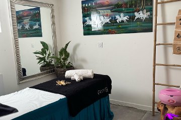 ICACOS
