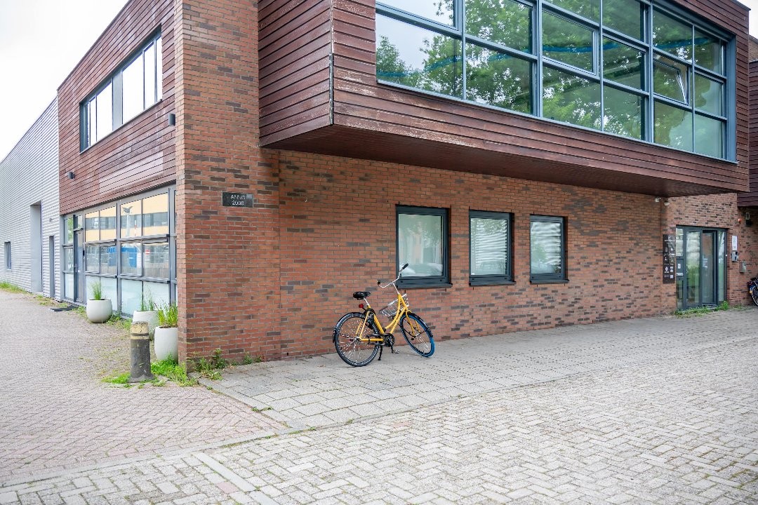 QuiniQue, Amsterdam