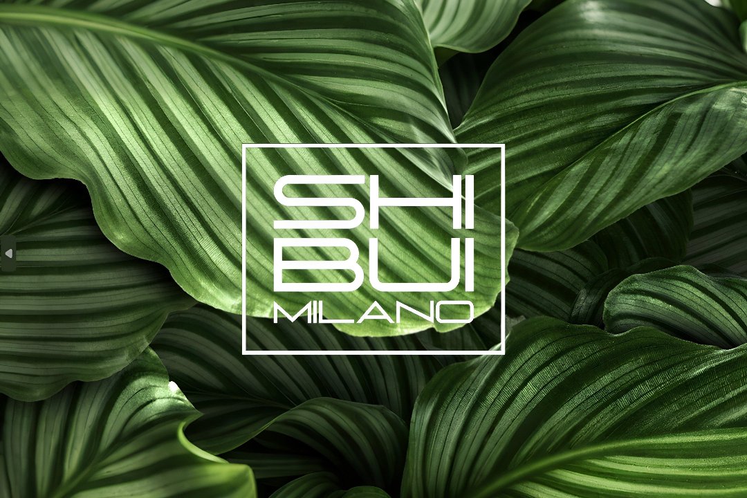 Shibui Milano, Pagano, Milano