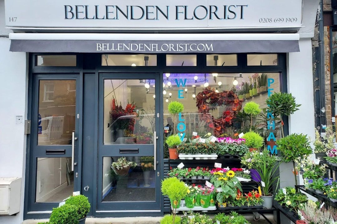 Jane Tilton Aromatherapist & Reflexologist - Bellenden Therapies, Peckham Rye, London