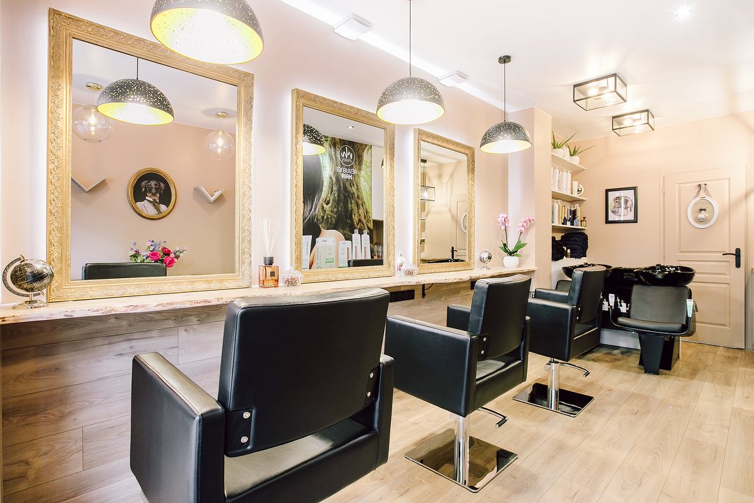 salon coiffure afro kremlin bicetre