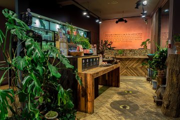Gary Ingham Aveda Lifestyle Salon and Spa